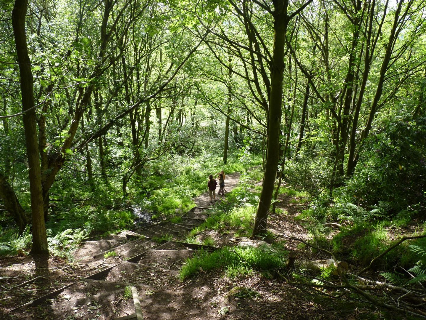 The Cloud, Congleton - CPRE Cheshire